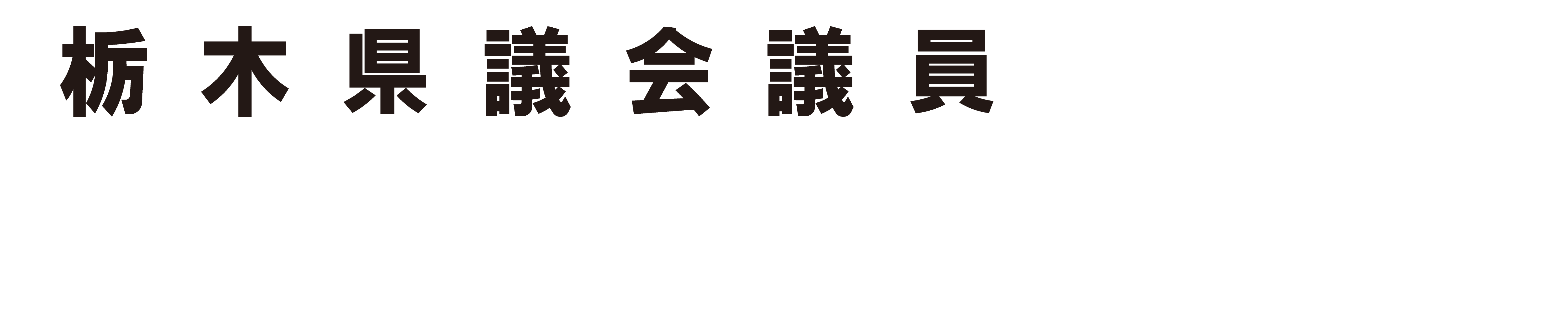 栃木県議会議員 大久保ゆみ